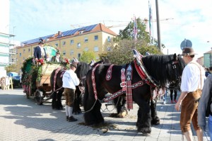ErntedankfestzugFuerth2016-jud-160